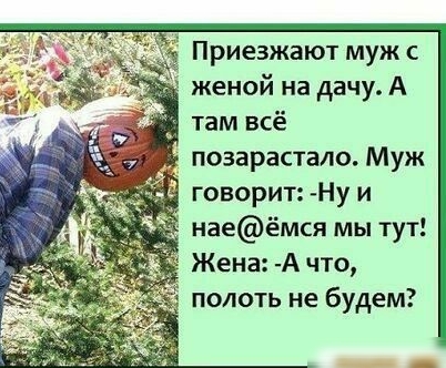 Приезжают муж с женой на дачу А там всё позарастало Муж говорит Ну и наеёмся мы тут Жена А что полоть не будем