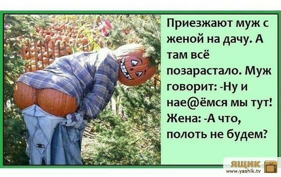 Приезжают муж с женой на дачу А там всё позарастало Муж _ говорит Ну и наеёмся мы тут Жена А что олоть не будем щпмы