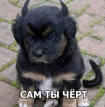 дёдм ты чёт и