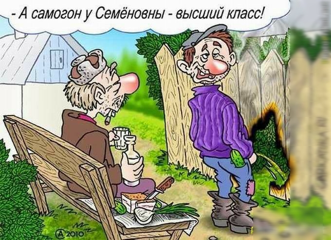 А самогон у Семёновны высший тасс