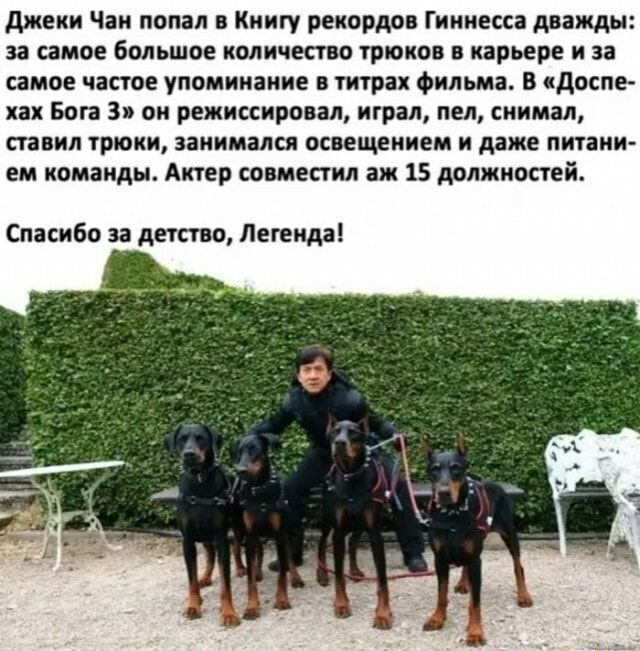 джеки Чан попал в Книгу рекордов Гиннесса дважды за самое большое количество трюков в карьере и за самое частое упоминание в титрах фильма в доспе хах Бога 3 он режиссировал играл пел снимал ставил трюки занимался освещением и даже питани ем команды Актер совместил аж 15 должностей Спасибо за детство Легенда