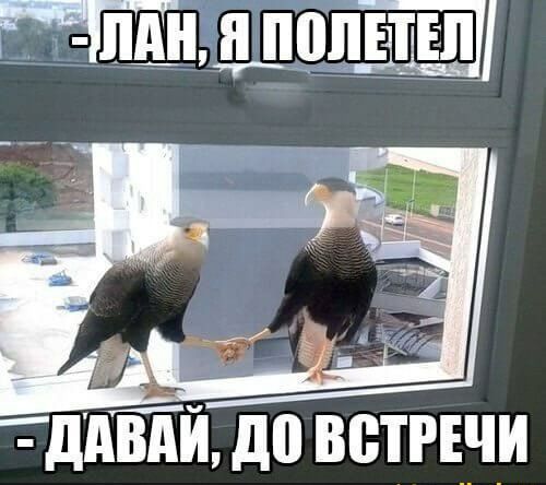 тнддопыщщ _ 3 ЕС тддТЙй до ветпчи