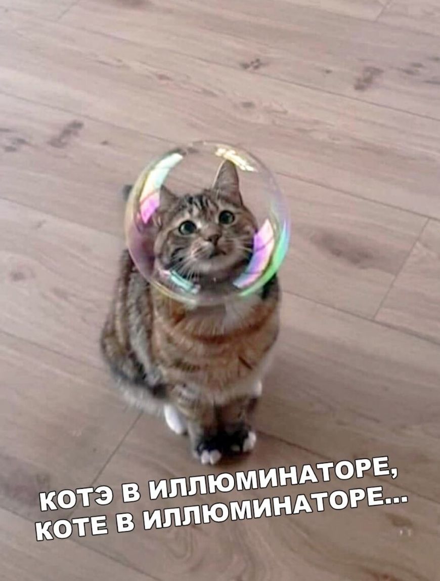 _