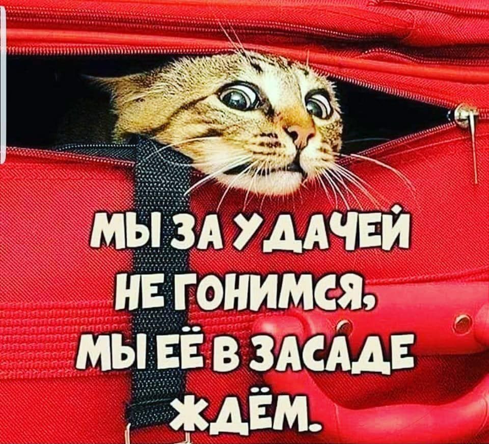 31 АЕМ А