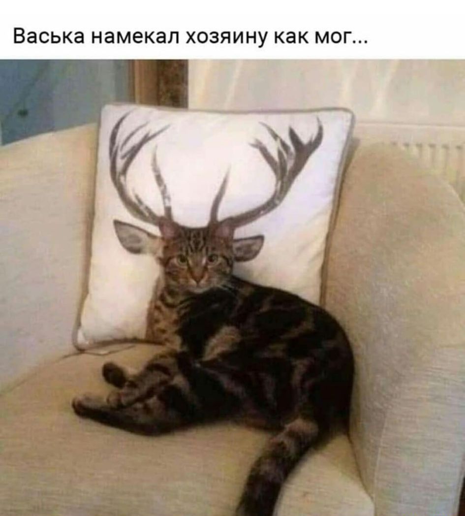 ВЭСЬКЭ намекал ХОЗЯИНУ КЭК МОГ