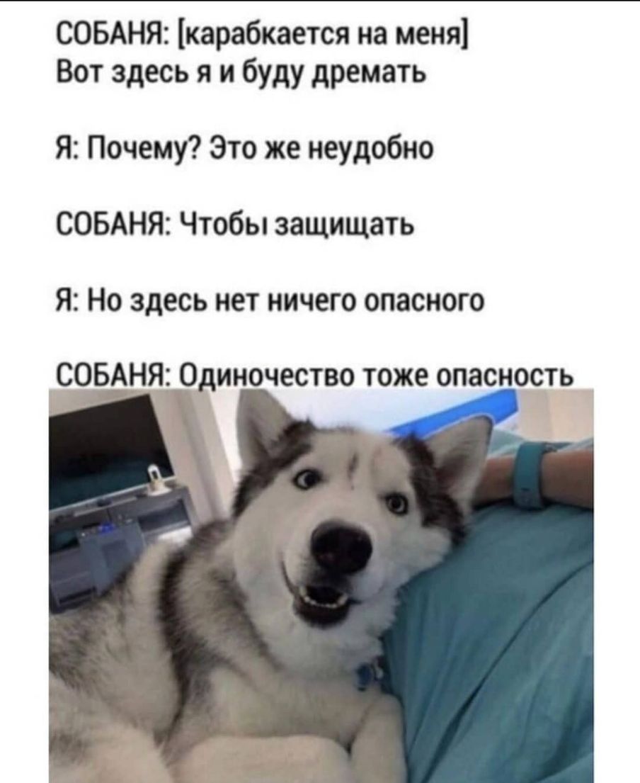 СОБАНЯ карабкается на меня Вот здесь я и буду дремать Я Почему Это же неудобно СОБАНЯ Чтобы защищать я Но здесь нет ничего опасного СОБАНЯ Одиночество тоже опасность