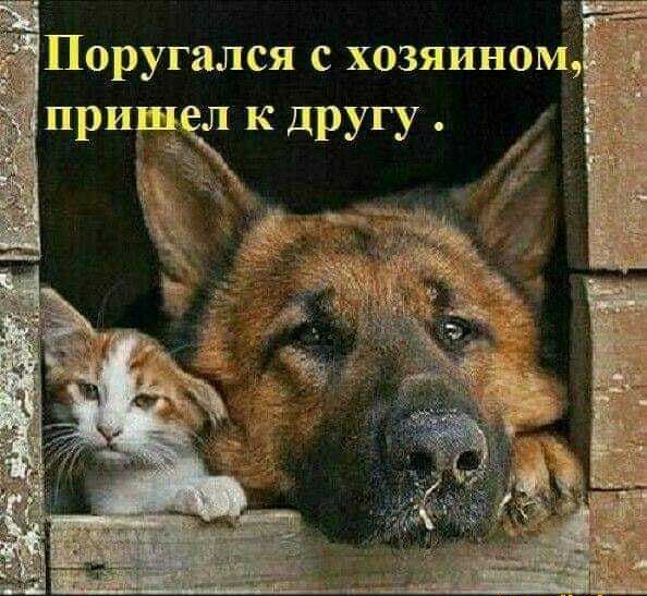 Поругался с хозяином