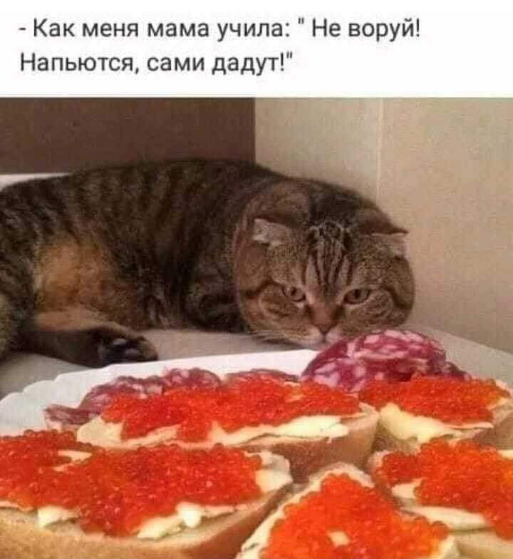 Как меня мама учила Не воруй Напьются сами дадут