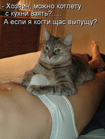 МОЖНО каше с кухни взять А если я когги щаеэвышущуг