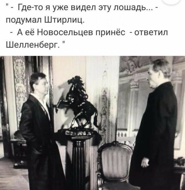 Где то я уже видел эту лошадь подумал Штирлиц А её Новосельцев принёс ответил Шелленберг