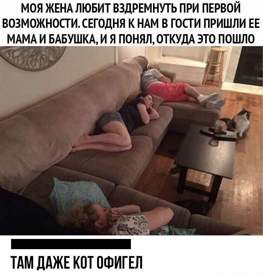 МОЯ ЖЕНА ЛЮБИТ ВЗДРЕМНУТЬ ПРИ ПЕРВОЙ ВОЗМОЖНОСГ И СЕГОДНЯ К НАМ В ГОСГ И ПРИШЛИ ЕЕ МАМА И БАБУШКА И Я ПОНЯЛ ОТКУДА ЭТО ПОЩЛО _ ТАМ дАЖЕ КОТ ОФИГЕЛ