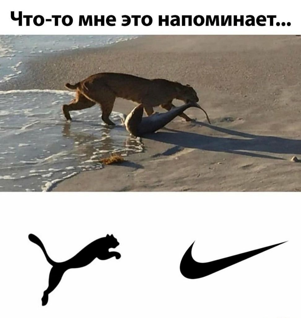 Что то мне это напоминает