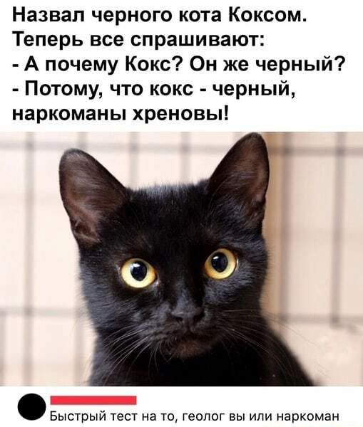 Назвал черного кота Коксом Теперь все спрашивают А почему Кокс Он же черный Потому что кокс черный наркоманы хреновы Быстрый тест на то геолог вы или наркоман