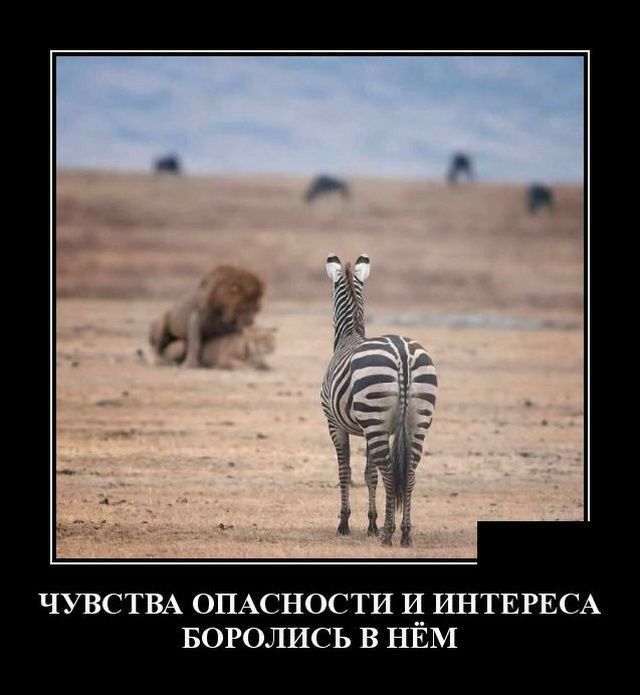 А С Е Р Е Т Н ИМ ИЁ ИН ТВ СЬ ОС НИ СЛ АО ПР ою А В Т Ч