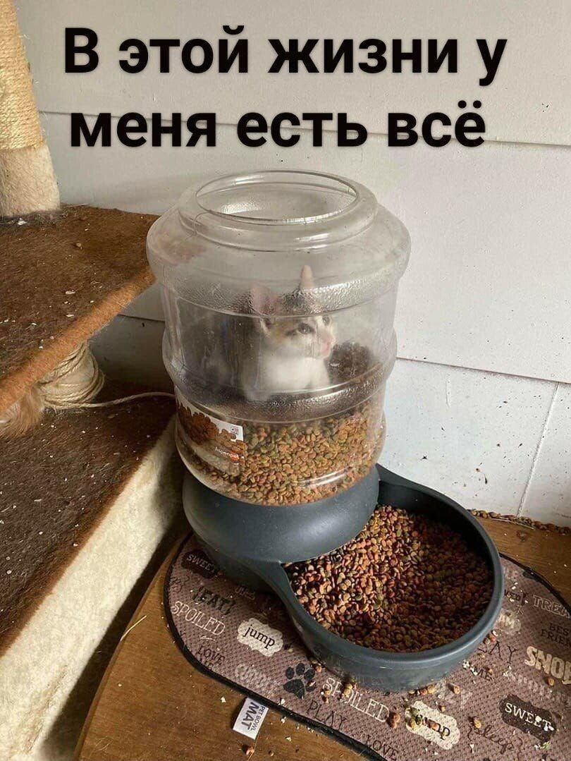 В этой жизни у пеняесть всё ЖХ