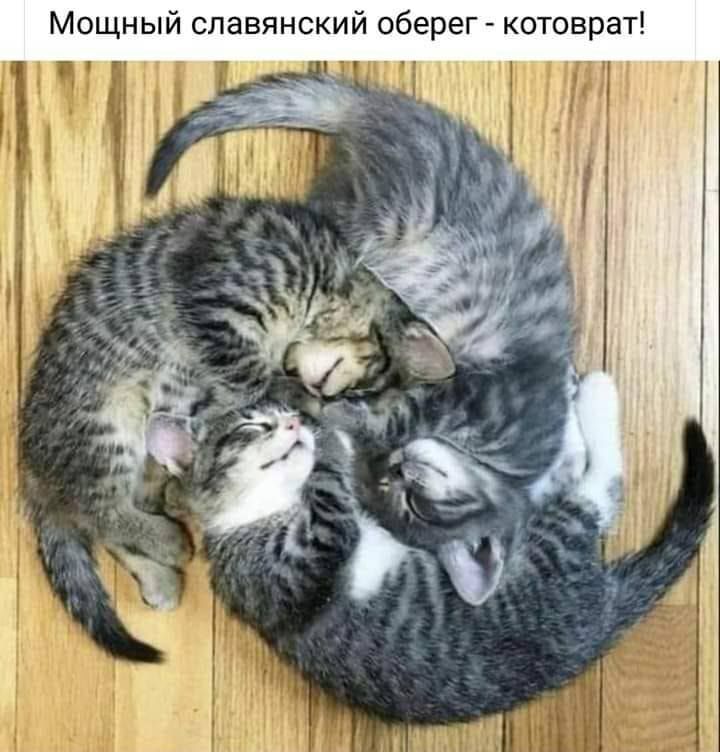 Мощный славянский оберег котоврат