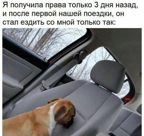 Я получила права только 3 дня назад и после первой нашей поездки он стал ездить со мной только так