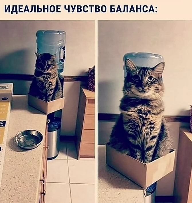 ИДЕАЛЬНОЕ ЧУВСТВО БАЛАНСА