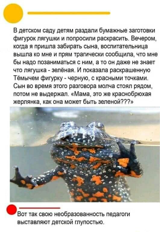 В детском саду детям решали бумажные загвтовки фигурок лягушки и попросили раскрасить Вечером когда я пришла забирать сына воспитательница вышла ко мне и прям трагически сдобщипа что мне бы надо позаниматься ним а то он даже не знает что лягушка зелёная И показала раскрашенную Тёмычем фигурку черную красными точками Сын во время этого разговора молча стоял рядом потом не выдержал Мама это же красн