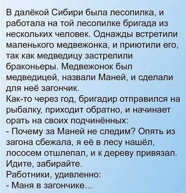 В далёкой Сибири была лесопилка и работала на той лесопилке бригада из нескольких человек Однажды встретили маленького медвежонка и приютили его так как медведицу застрелили браконьеры Медвежонок был медведицей назвали Маней и сделали для неё загончик Както через год бригадир отправился на рыбалку приходит обратно и начинает орать на своих подчинённых Почему за Маней не следим Опять из вагона сбеж