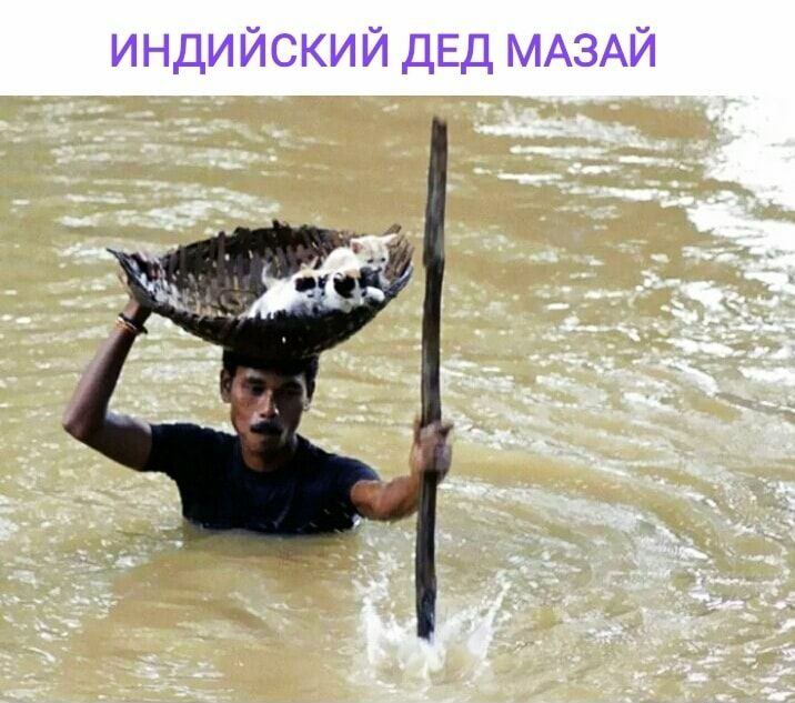 индийский ДЕД МАЗАЙ
