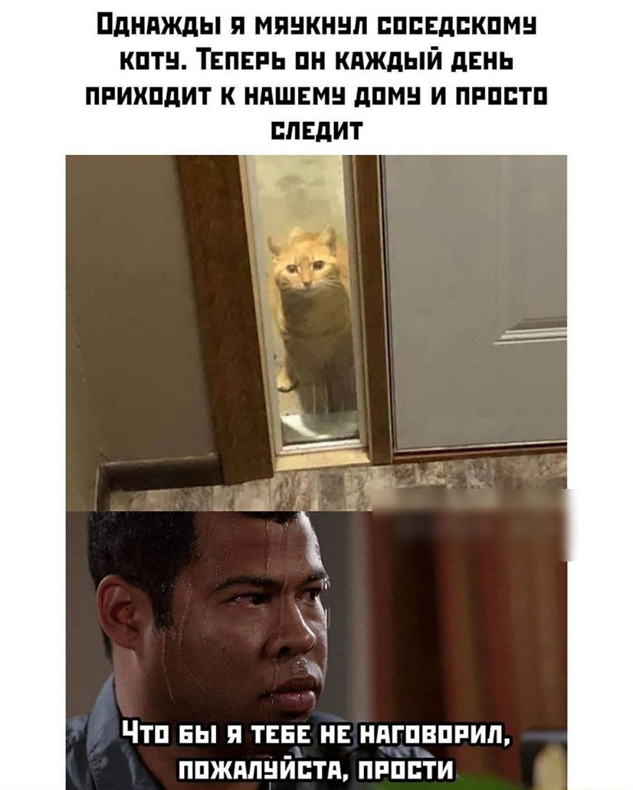 ПдНдЖдЫ Я МПНКННП ПППЕдПКПМН КПТН ТЕПЕРЬ ПН КдЖдЫЙ дЕНЬ ПРИХПдИТ К НАШЕМ дПМН И ПРППТП ВПЕдИТ чъ Д Чтп вы я тва нв ндгпвппил ппждлнйптп приіи