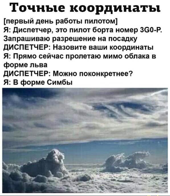 ТОЧНЪПВ КООРДИНЗГЪ первый день работы пилотом Я диспетчер это пипот борта номер зС Ю Р Запрашиваю разрешение на посадку дИСПЕТЧЕР Назовите ваши координаты Я Прямо сейчас пропетаю мимо облака в форме льва дИСПЕТЧЕР Можно поконкретнее Я В форме Симбы