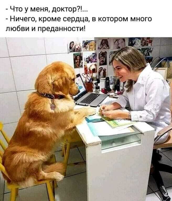Что у меня доктор Ничего кроме сердца в котором много любви и преданности