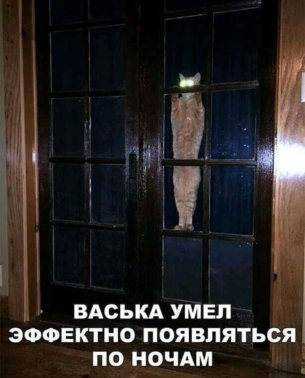 ВАсЬКА УМЕЛ ЭФФЕКТНО ПОЯВЛЯТЬСЯ по н9чАм