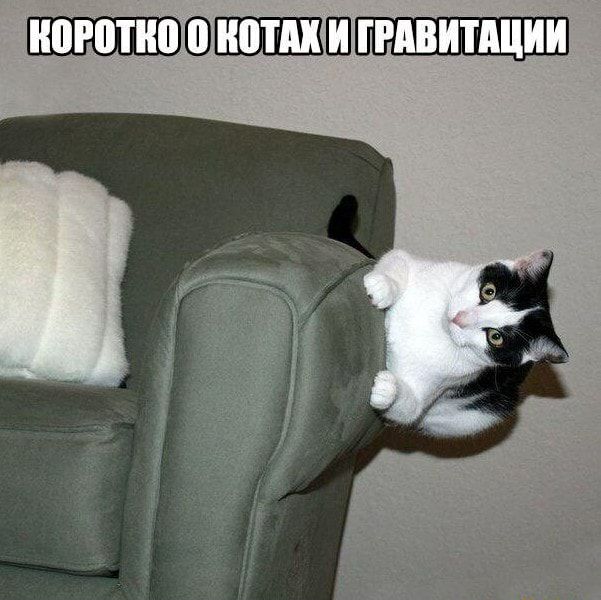 ШШПШШШ