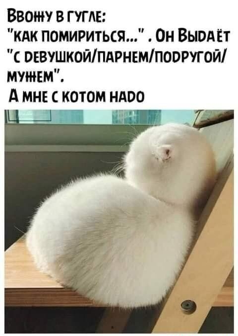 Ввожу в гугле кдк помириться Он Вывдёт оввушкойпдрнвмпооругой мужем А мнв котом ндоо _ М И