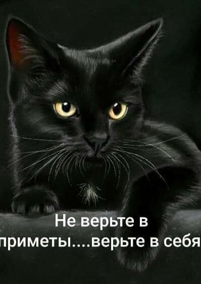 НеведЬте в приметыверьте в себя