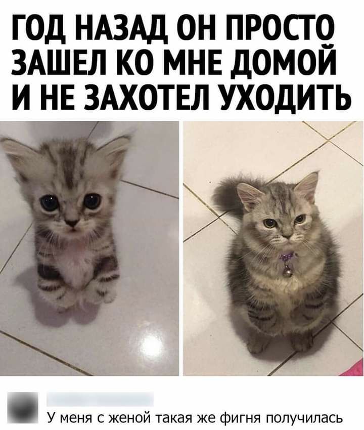 ГОД НАЗАД ОН ПРОСТО ЗАШЕЛ КО МНЕ ДОМОЙ И_НЕ ЗАХОТЕЛ УХОДИТЬ У меня с женои такая же фигня получилась