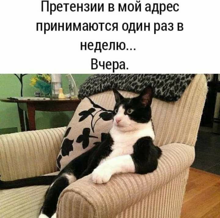 Претензии в мой адрес принимаются один раз в неделю