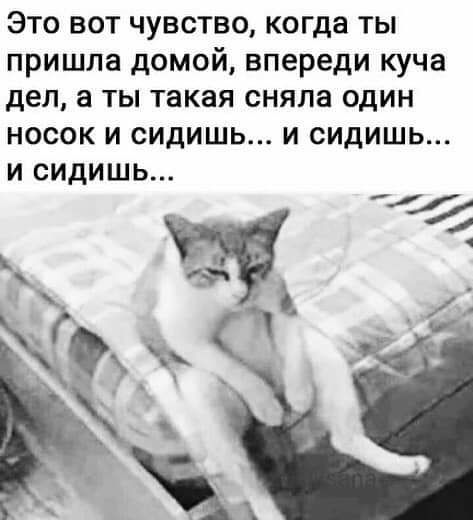 Это вот чувство когда ты пришла домой впереди куча дел а ты такая сняла один НОСОК И СИДИШЬ И СИДИШЬ И СИДИШЬ
