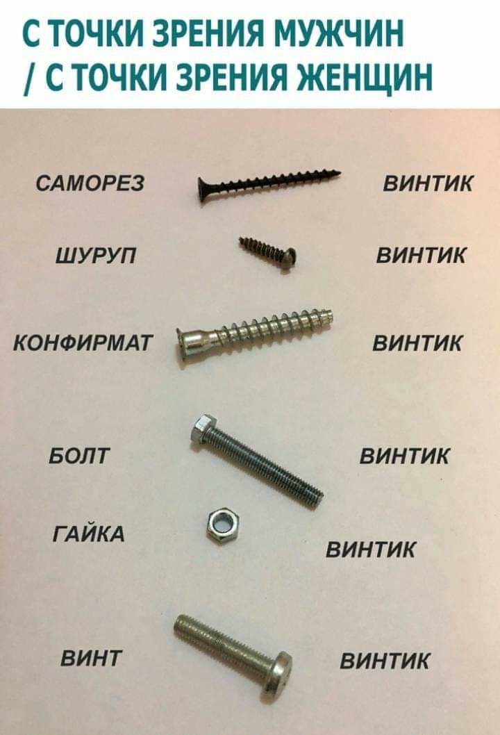 С ТОЧКИ ЗРЕНИЯ МУЖЧИН С ТОЧКИ ЗРЕНИЯ ЖЕНЩИН САМОРЕЗ И винтик шуруп винтик КОНФИРМАТ ВИНТИК БОЛТ винтик ГАЙКА ВИНТИК ВИНТ винтик