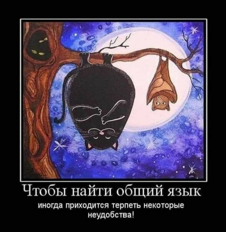 Чтобы найти общий язык ИНОГДВ приходится Терпеть НБКОТОРЫЕ неудобства