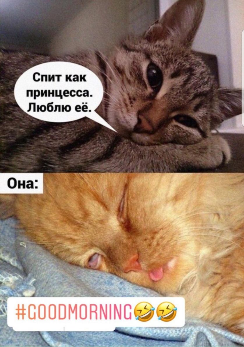 Спит как принцесса ддвоовмшёчц
