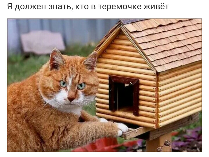 Я ДОЛЖЕН 3НдТЬ КТО В теремочке ЖИВёТ