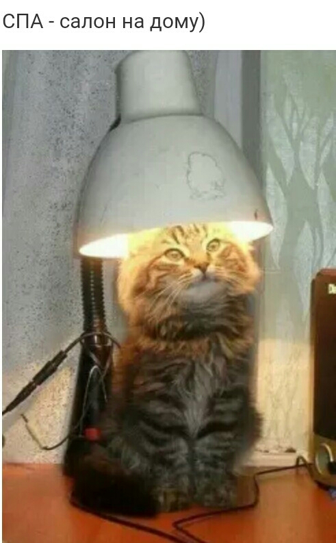 СПА салон на дому