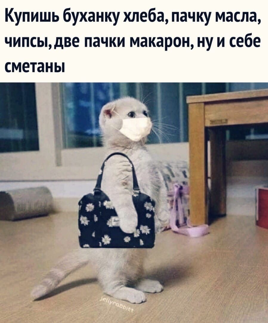 Купишь буханку хлеба пачку масла чипсыдве пачки макарон ну и себе сметаны