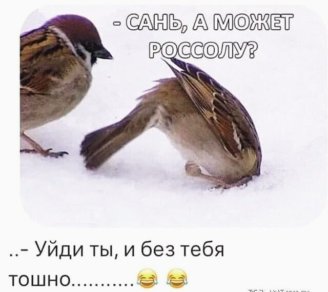 А Ж расс Уйди ты и без тебя тошно