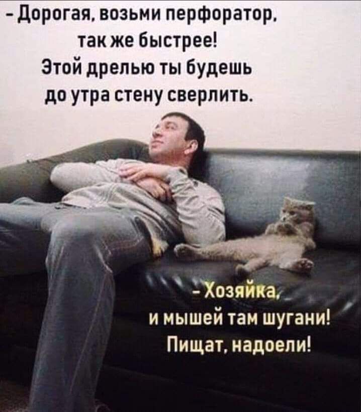 Дорогая возьми перфоратор также быстрее Этой дрелью ты будешь до утра стену сверлить ЁХозяйка_ и мышей там шугани Пищат надоели
