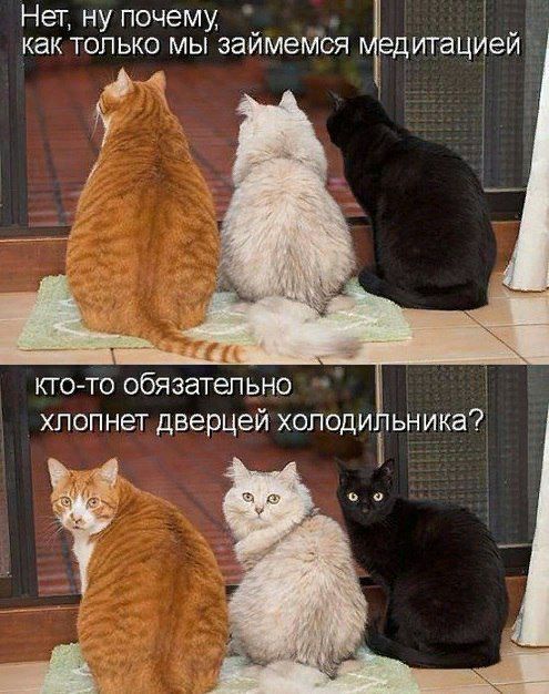 Нет ну почему как только мы займемся дитацие и
