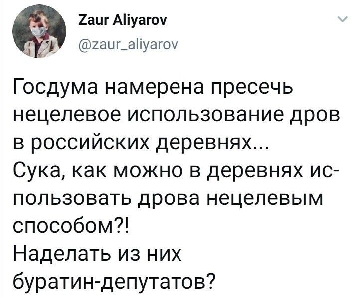 2аиг Аіуагоч 451 2аиг_аіуаг0 Госдума намерена пресечь нецелевое использование дров в российских деревнях Сука как можно в деревнях ис пользовать дрова нецелевым способом Наделать из них буратин депутатов