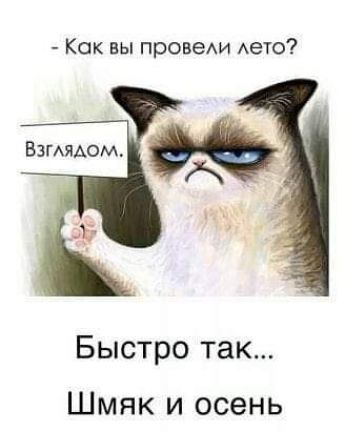 Как вы провехи дето Быстро так Шмяк и осень