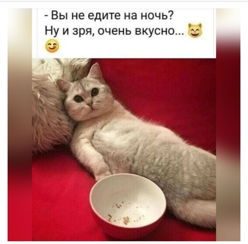 Вы не едите на ночь Ну и зря очень вкусно