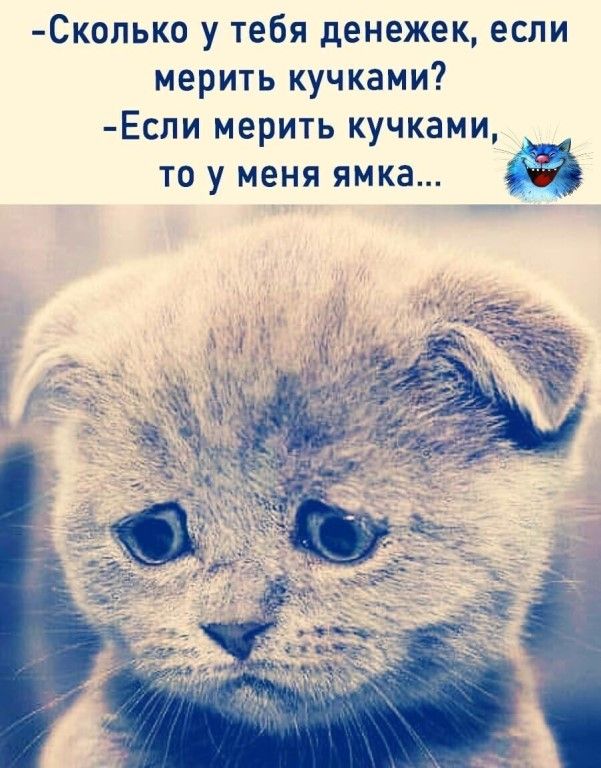 Сколько у тебя денежек если мерить кучками Еспи мерить кучками ТО у МЕНЯ ямка