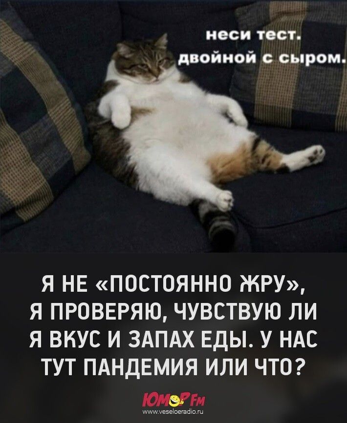неси тест двойной сыром Я НЕ ПОСТОЯННО ЖРУ Я ПРОВЕРЯЮ ЧУВСТВУЮ ЛИ Я ВКУС И ЗАПАХ ЕДЫ У НАС ТУТ ПАНДЕМИЯ ИЛИ ЧТО Мгн ищшуезеюеефо