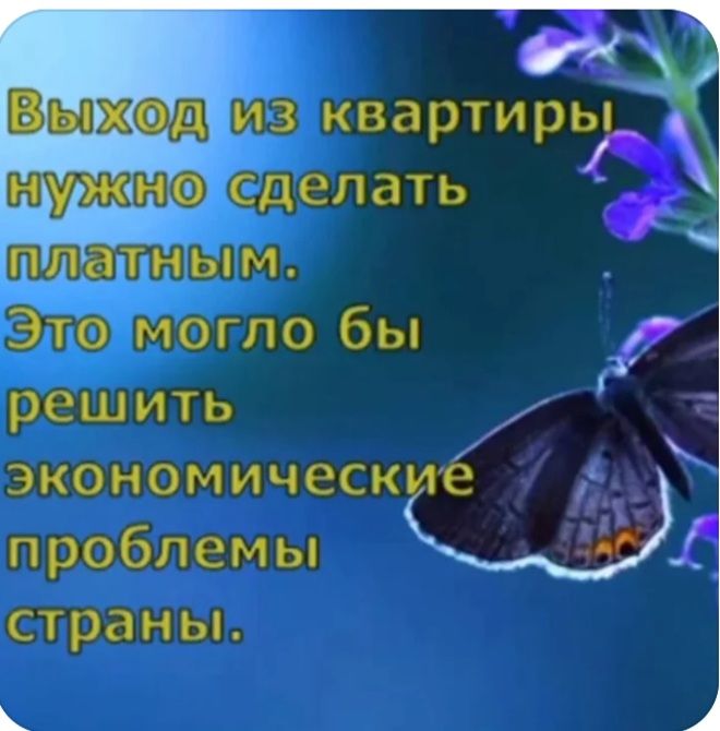 зшёэквартирь 330869 сделать экономическ дд проблемы Ы страньъ 1